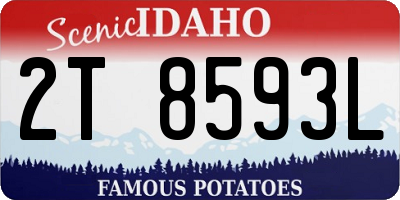 ID license plate 2T8593L