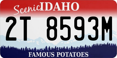 ID license plate 2T8593M
