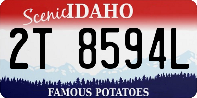 ID license plate 2T8594L