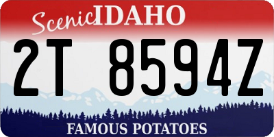 ID license plate 2T8594Z