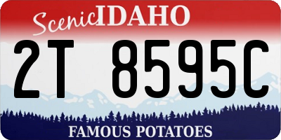 ID license plate 2T8595C
