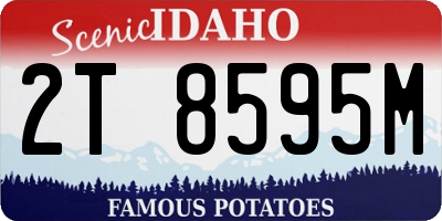ID license plate 2T8595M