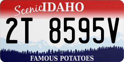 ID license plate 2T8595V