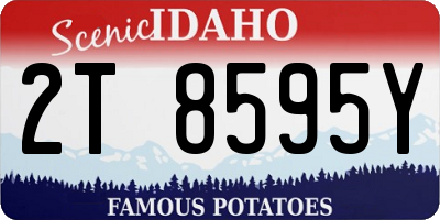 ID license plate 2T8595Y