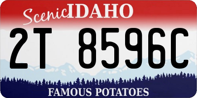 ID license plate 2T8596C