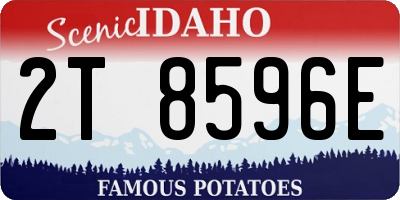 ID license plate 2T8596E