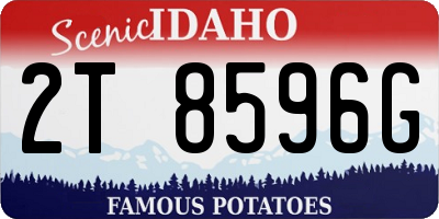 ID license plate 2T8596G