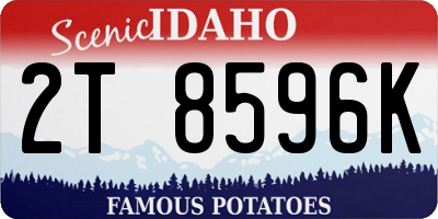 ID license plate 2T8596K