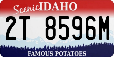 ID license plate 2T8596M