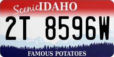 ID license plate 2T8596W