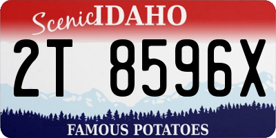 ID license plate 2T8596X