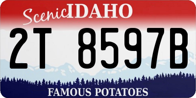 ID license plate 2T8597B