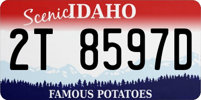 ID license plate 2T8597D