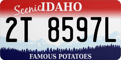 ID license plate 2T8597L