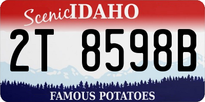 ID license plate 2T8598B