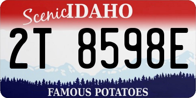ID license plate 2T8598E