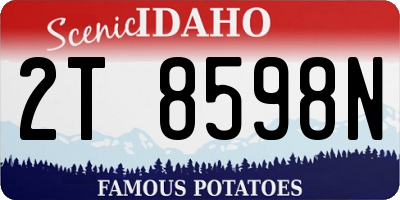 ID license plate 2T8598N