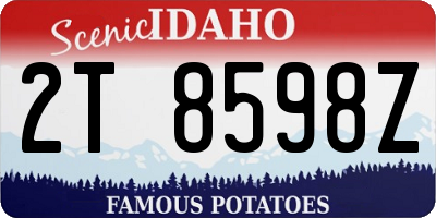 ID license plate 2T8598Z