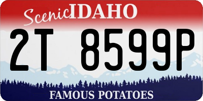 ID license plate 2T8599P