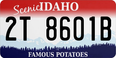ID license plate 2T8601B