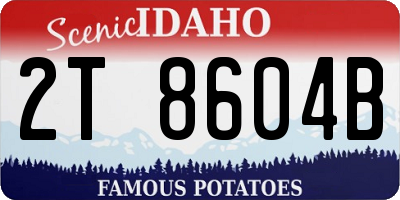 ID license plate 2T8604B