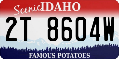 ID license plate 2T8604W