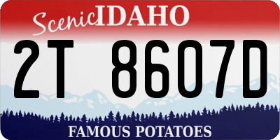 ID license plate 2T8607D