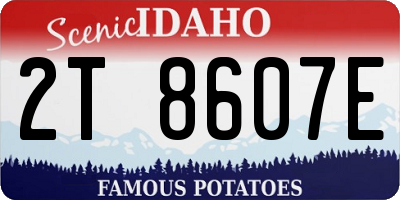 ID license plate 2T8607E