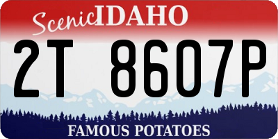 ID license plate 2T8607P