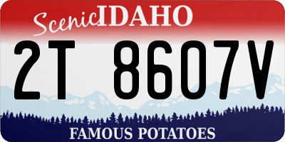 ID license plate 2T8607V