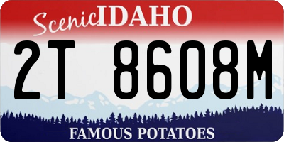 ID license plate 2T8608M