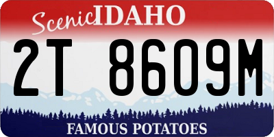 ID license plate 2T8609M