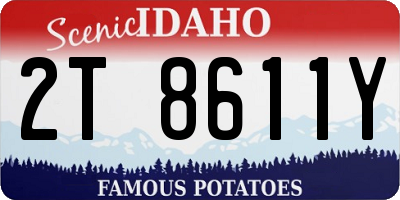 ID license plate 2T8611Y