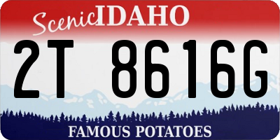ID license plate 2T8616G