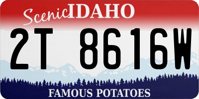 ID license plate 2T8616W