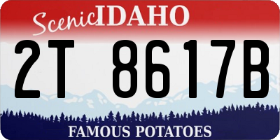 ID license plate 2T8617B
