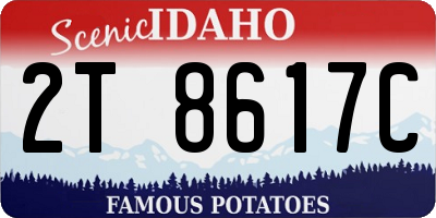 ID license plate 2T8617C