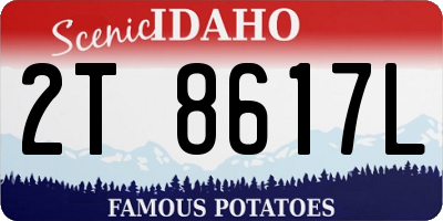 ID license plate 2T8617L