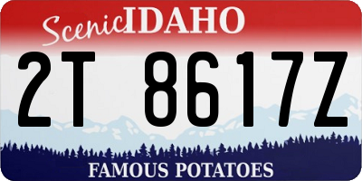ID license plate 2T8617Z