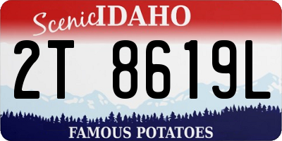 ID license plate 2T8619L