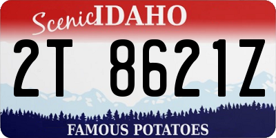 ID license plate 2T8621Z