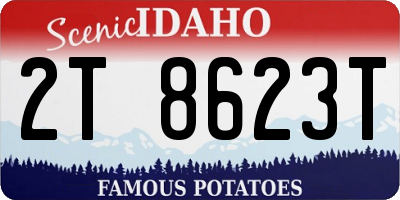 ID license plate 2T8623T
