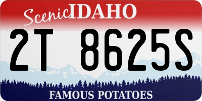 ID license plate 2T8625S