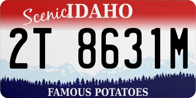 ID license plate 2T8631M