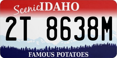 ID license plate 2T8638M
