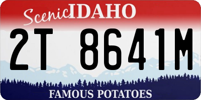 ID license plate 2T8641M
