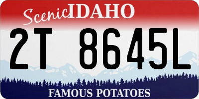 ID license plate 2T8645L