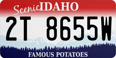 ID license plate 2T8655W