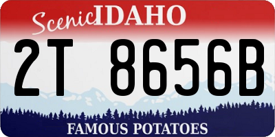 ID license plate 2T8656B