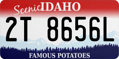 ID license plate 2T8656L